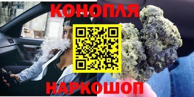 стаф Дубна