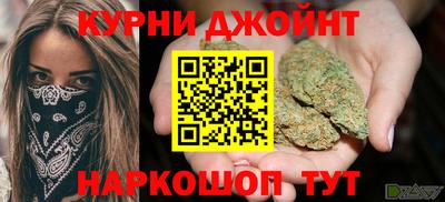 стаф Дубна