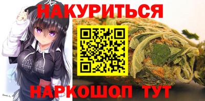 стаф Дубна