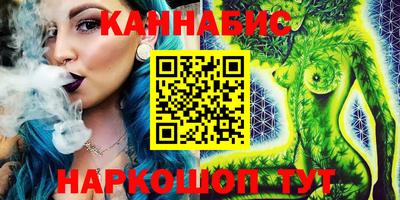 стаф Дубна