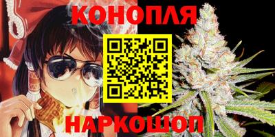 стаф Дубна
