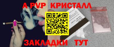 стаф Дубна