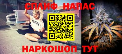 стаф Дубна