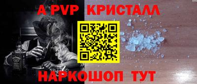 стаф Дубна