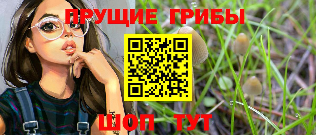 Галлюциногенные грибы Magic Shrooms Можайск